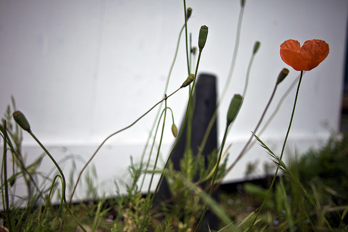 Gloucester, Gloster, Glotser